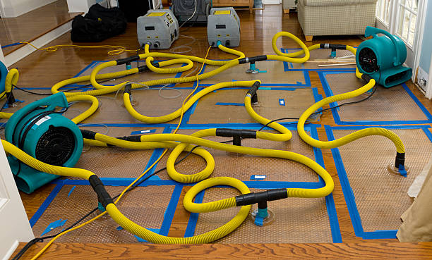 Professional Crawl Space Water Removal technician working in Gorham, ME